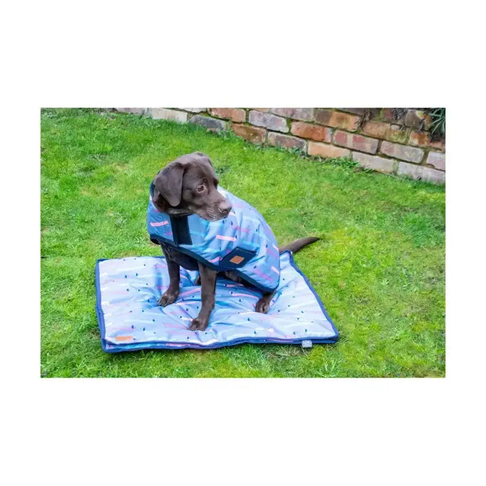 Blue patterned benji & flo dorris the dachshund dog coat with breathable denier waterproof rip fabric and black straps