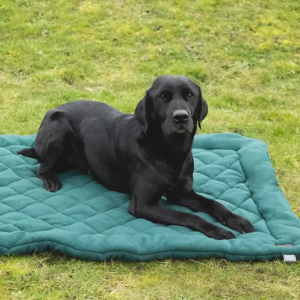 Benji & Flo Essential Fleece Dog Bed Green 40 x 60cm Dog Beds