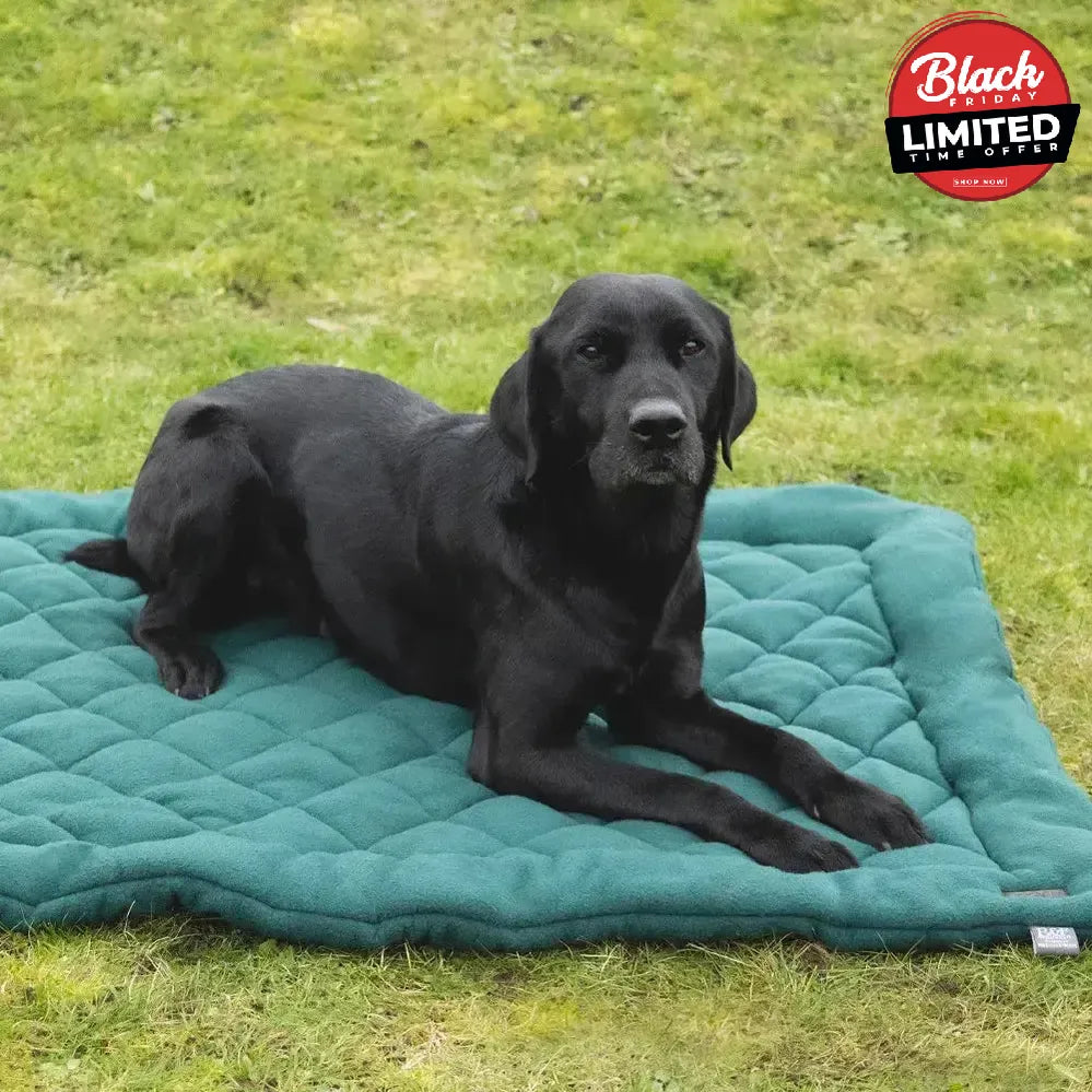 Benji & Flo Essential Fleece Dog Bed Green 40 x 60cm Dog Beds