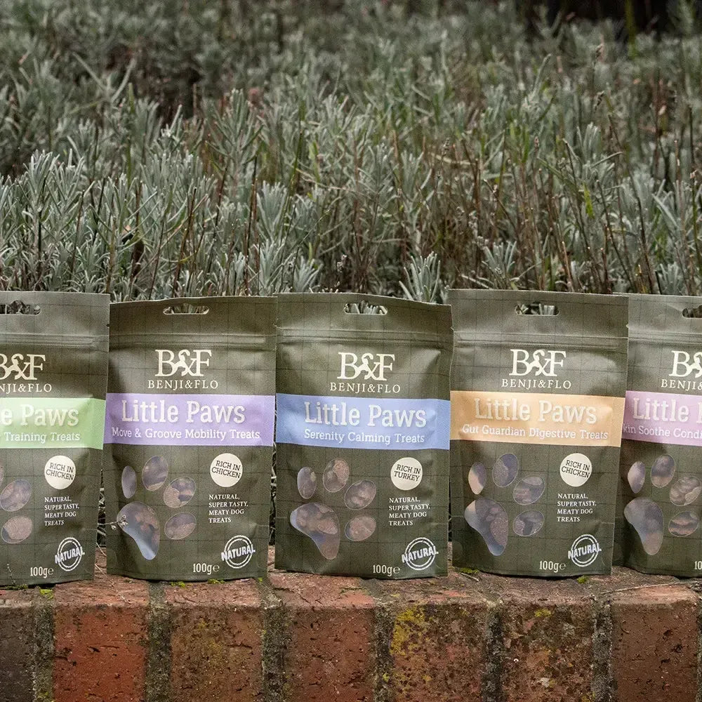 Benji & Flo Little Paws Move & Groove Mobility Treats Chicken 100g Dog Treats