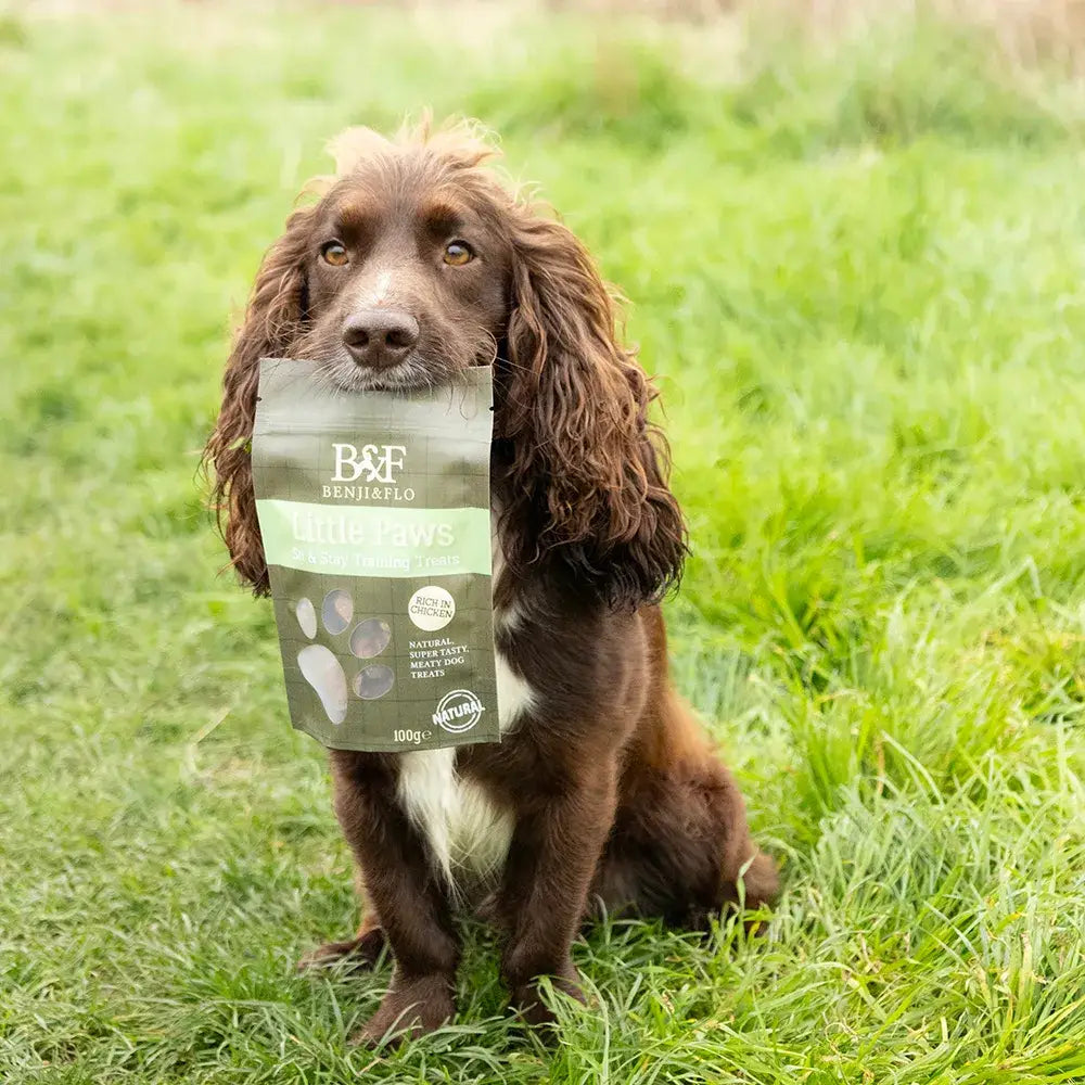 A green and white bag of benji and flo little paws chicken flavored stay training treats with paw print designs