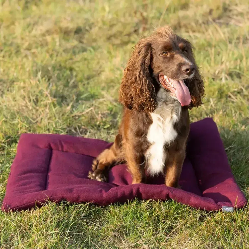 Benji & Flo Luxury Fleece Dog Bed Merlot 100 x 120cm Dog Beds