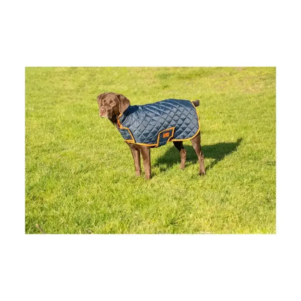 Navy blue benji & flo quilted dog coat with yellow trim and diamond quilted pattern for small dogs