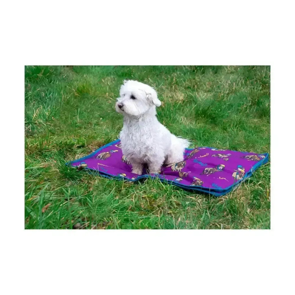Benji & Flo Thelwell Collection Pony Friends Dog Bed Imperial Purple/Pacific Blue 80 X 100cm Dog Beds