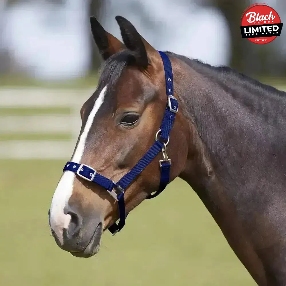Bitz Everyday Adjustable Headcollar Pony Black Headcollars