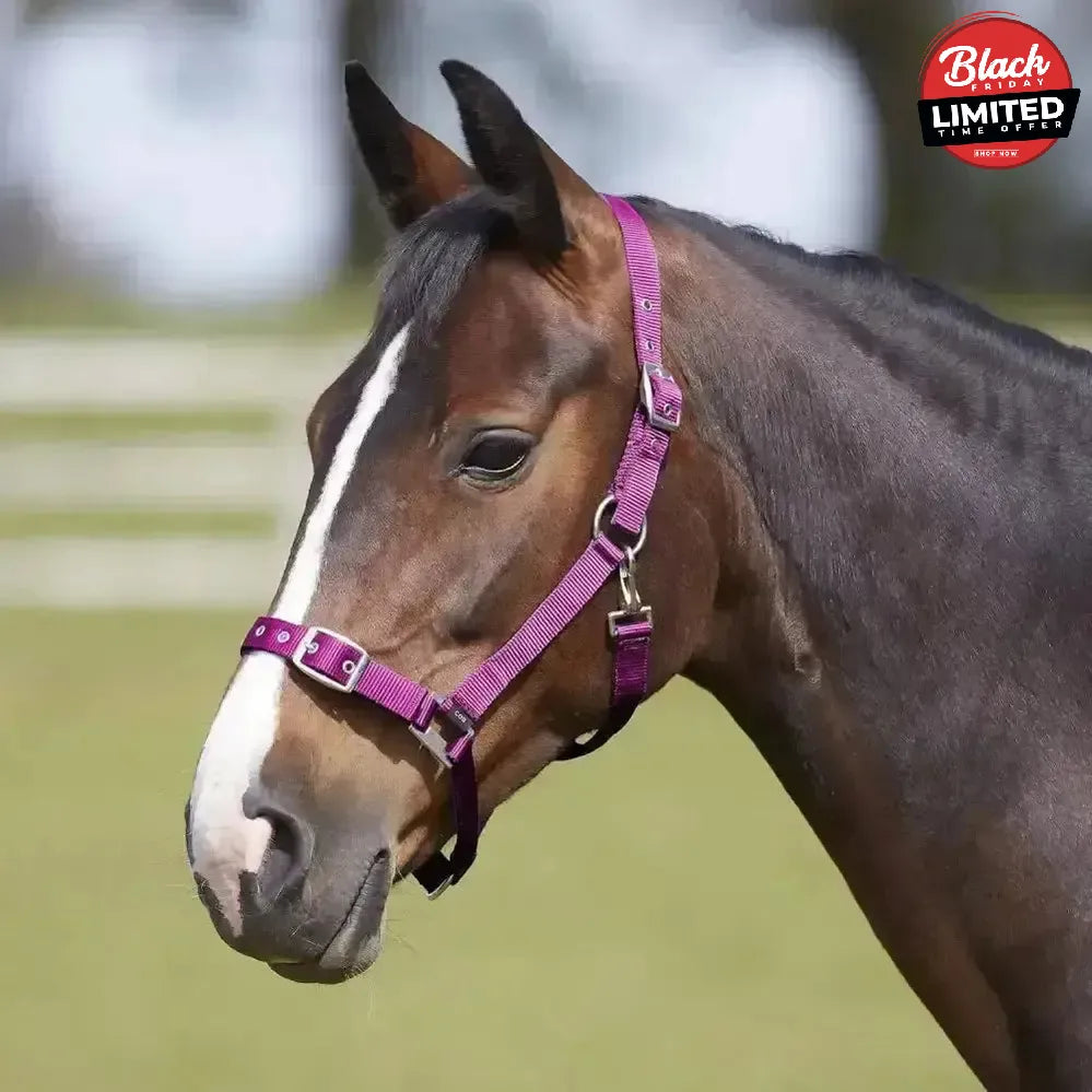 Bitz Everyday Adjustable Headcollar Pony Black Headcollars