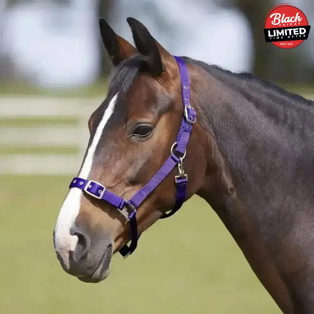 Bitz Everyday Adjustable Headcollar Pony Black Headcollars
