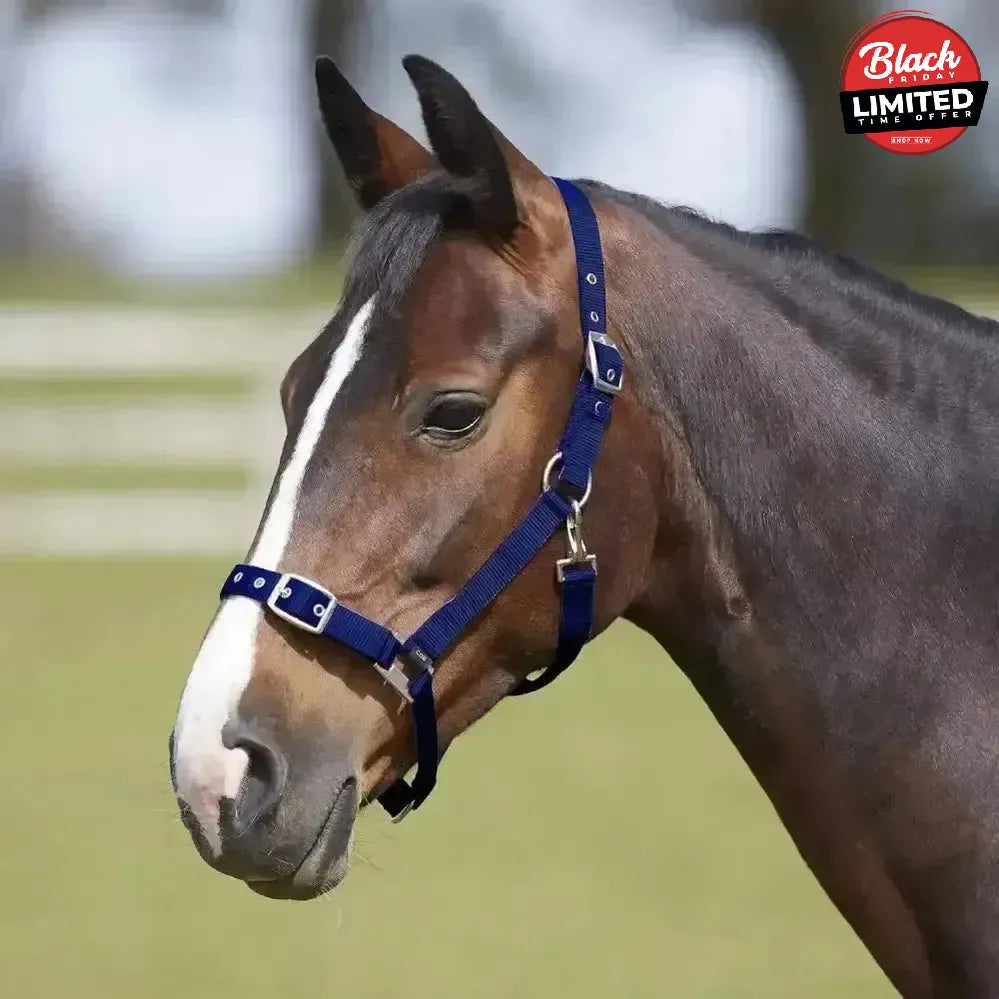 Bitz Everyday Adjustable Headcollar Pony Black Headcollars