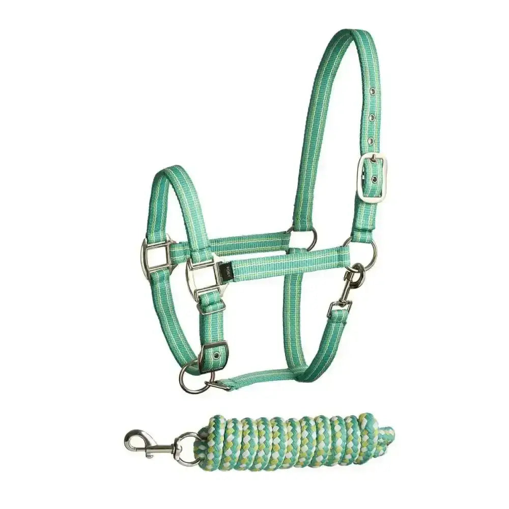 A mint green bitz stripe two tone headcollar lead rope with silver hardware and matching braided design