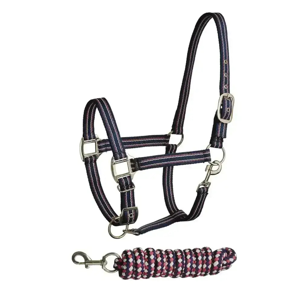 Navy blue woven bitz stripe two tone headcollar with silver hardware and matching purple white braided headcollar lead rope