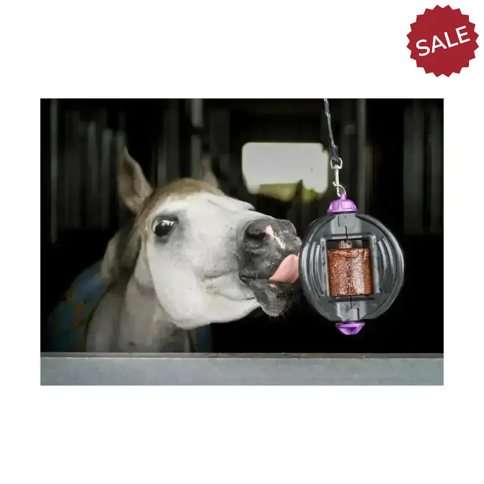 Bizzy Ball Complete Aqua Horse Toys