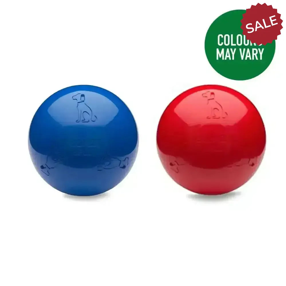 Boomer Ball 100 mm (4") Assorted Dog Toys