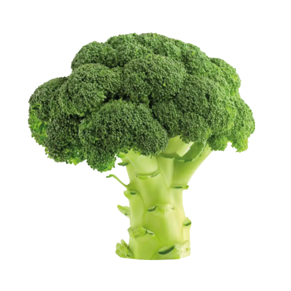 Broccoli