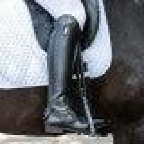 Brogini Turin Pro Competition Boots Plain Front Dress Boot Black Regular Height 36 (3.5UK) X SlIm Width Short Height Long Riding Boots