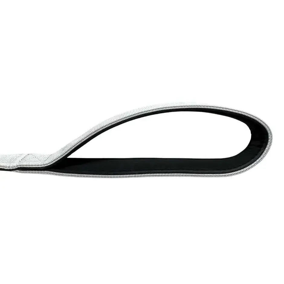 Btactical extra-strong nylon carabiner clip dog lead with silver-gray woven fabric handle and neoprene lining interior