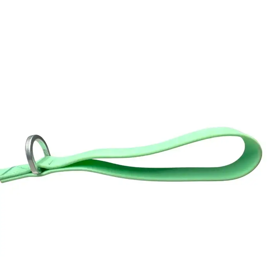 BTactical™ Extra-Strong PVC Carabiner Clip Dog Lead | Pastel Green 120cm (1.2m) Dog Lead