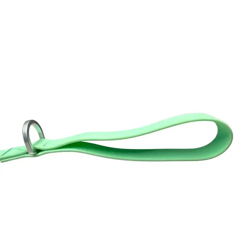 A mint green btactical lead made of silicone with a silver anti-tangle swivel buckle carabiner clip dog leash