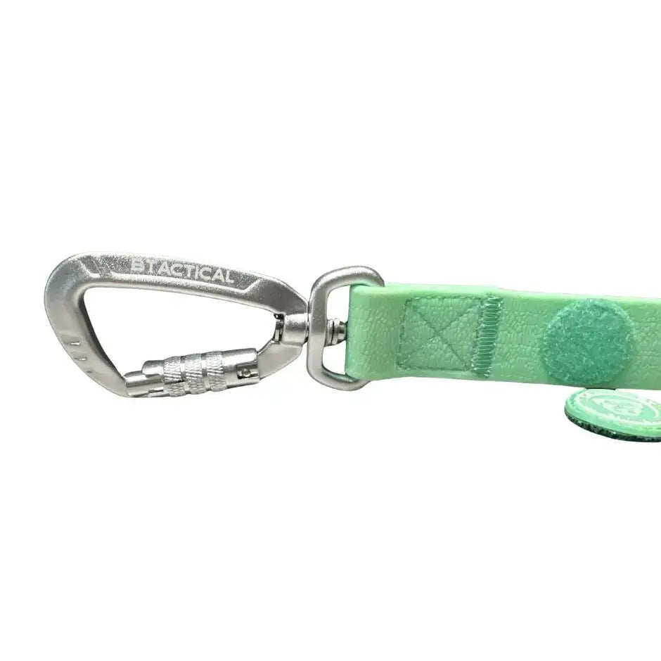 Btactical lead with silver carabiner clip dog on mint green extra-strong pvc leash featuring anti-tangle swivel buckle