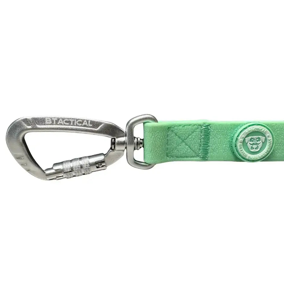 A pastel green btactical lead with a mint leather carabiner clip dog leash and anti-tangle swivel buckle details