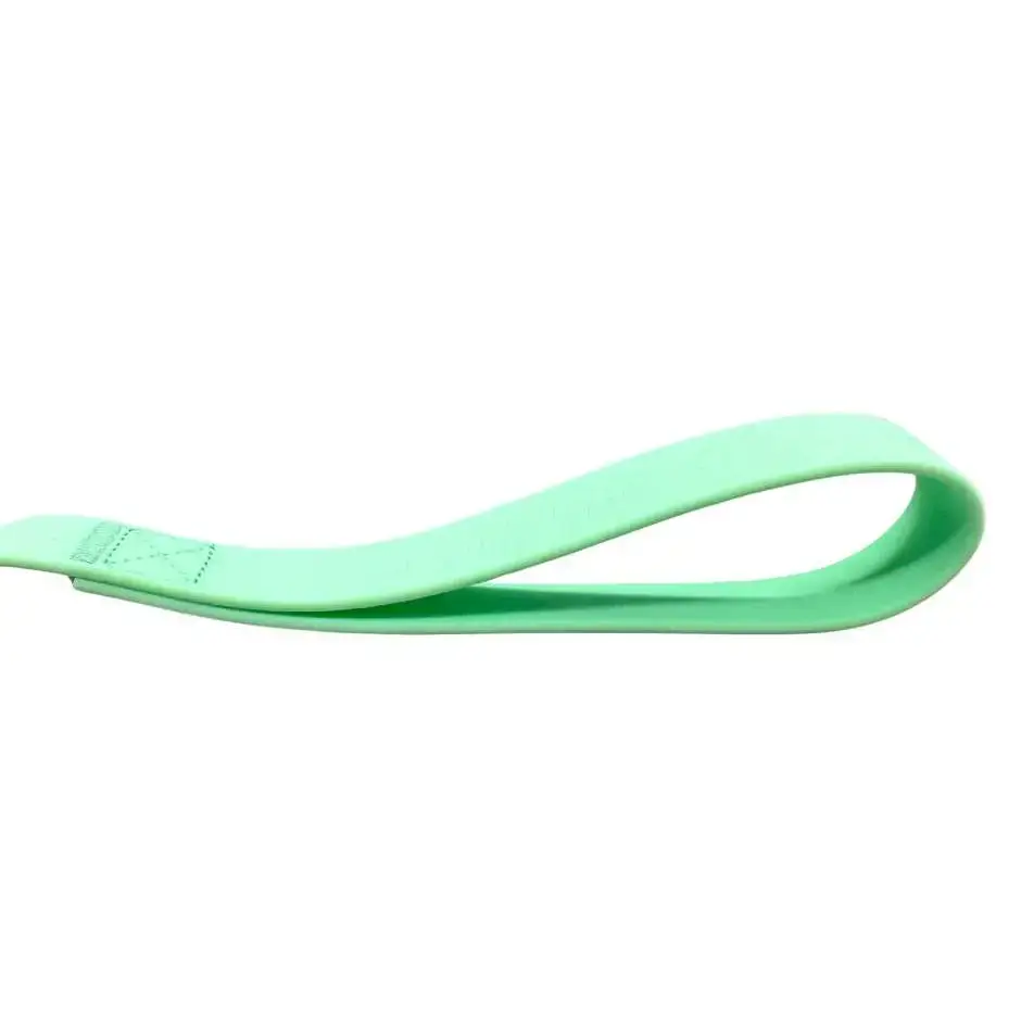 BTactical™ Extra-Strong PVC Frog Clip Dog Lead | Pastel Green 120cm (1.2m) Dog Lead