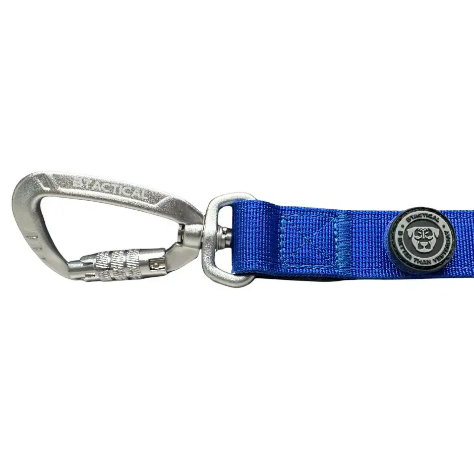 Royal blue btactical nylon carabiner dog lead with extra-strong carabiner clip and silver-toned branded button
