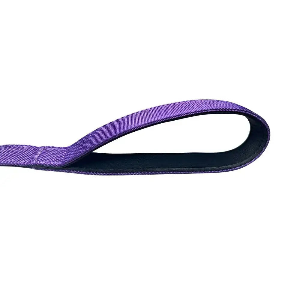 Lavender purple btactical nylon carabiner dog lead with extra-strong carabiner clip and neoprene padded handle