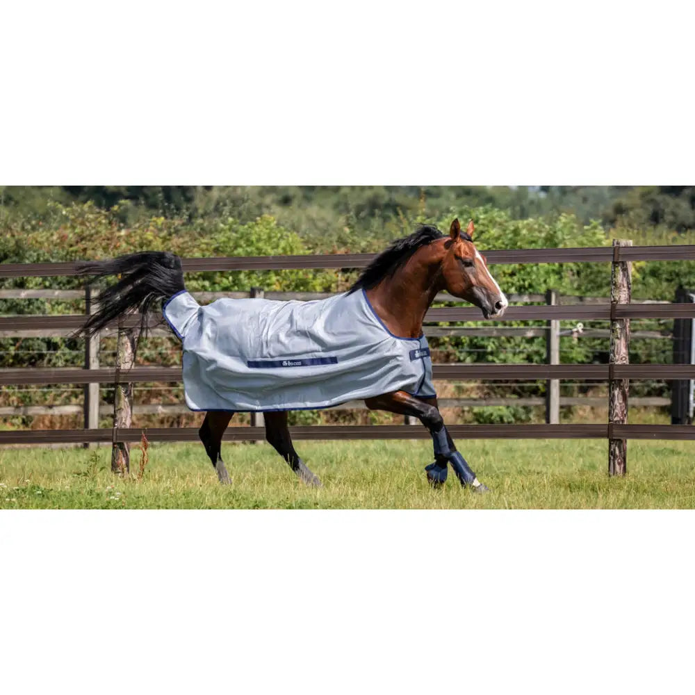 Brown horse wearing light gray bucas buzz off fly rug with blue trim made of fine mesh fabric and heat reflective rugs