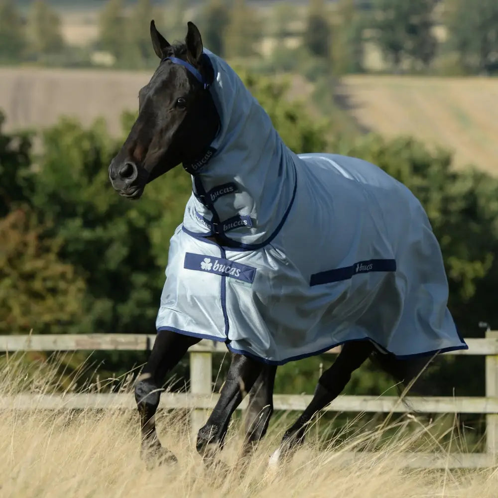 Silver and navy blue bucas buzz off fly rug with reflective material and adjustable straps for ponies fly rugs