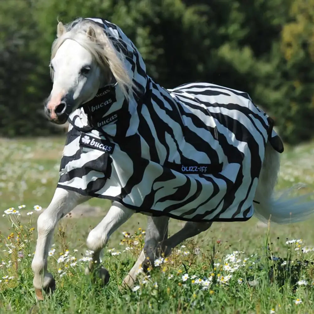 A white horse wearing a bucas buzz off zebra fly rug with mesh fabric and zebra-striped design shown from back side