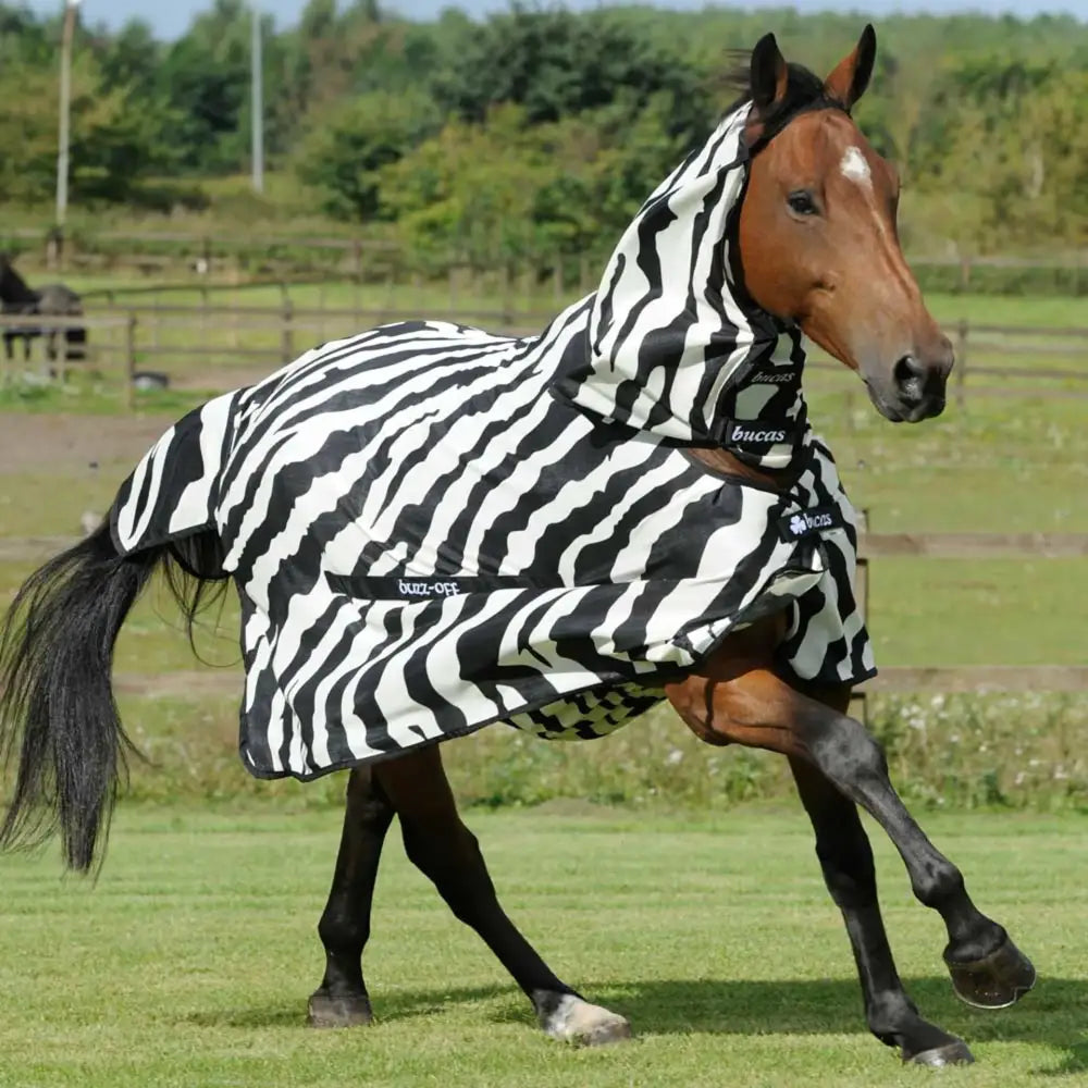 A brown horse wearing a bucas buzz black and white buzz-off zebra fly rug made of breathable mesh fabric