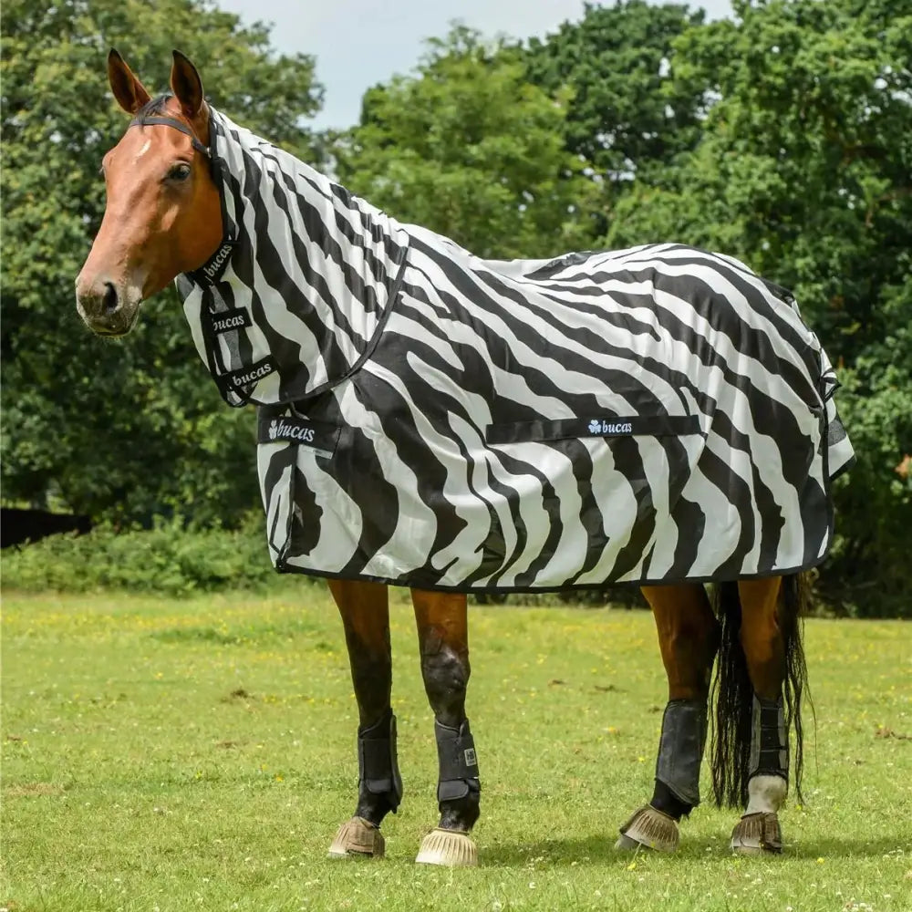 Black and white zebra fly rug for horses and ponies with bucas buzz branding made from breathable mesh fabric
