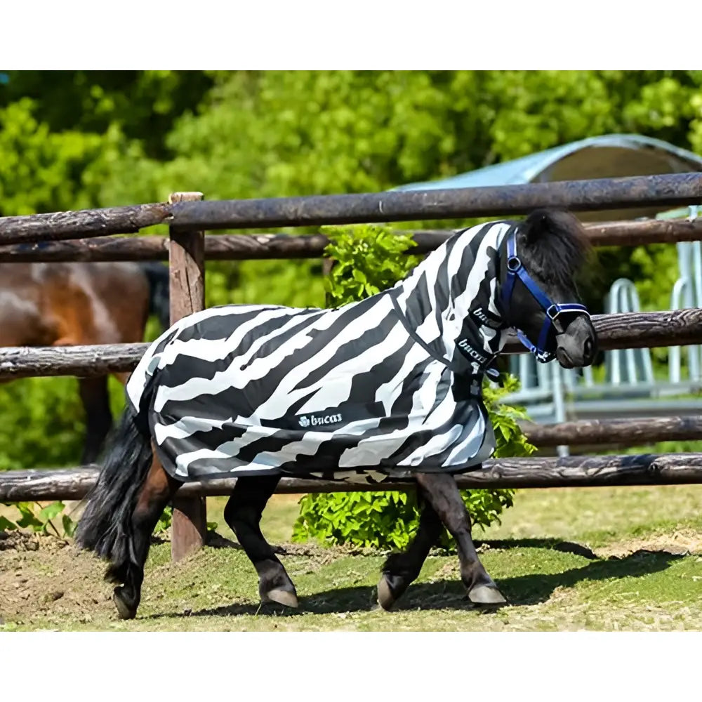 Black and white zebra-striped bucas buzz fly rug for horses made from breathable mesh fabric with small side logo