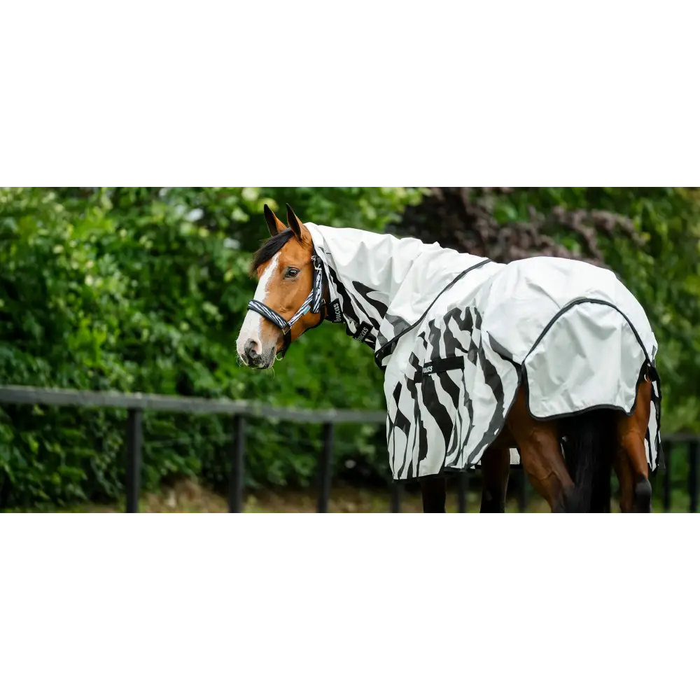 A white zebra-striped waterproof fly rug with black trim and logo by bucas buzz off rain zebra fly rug