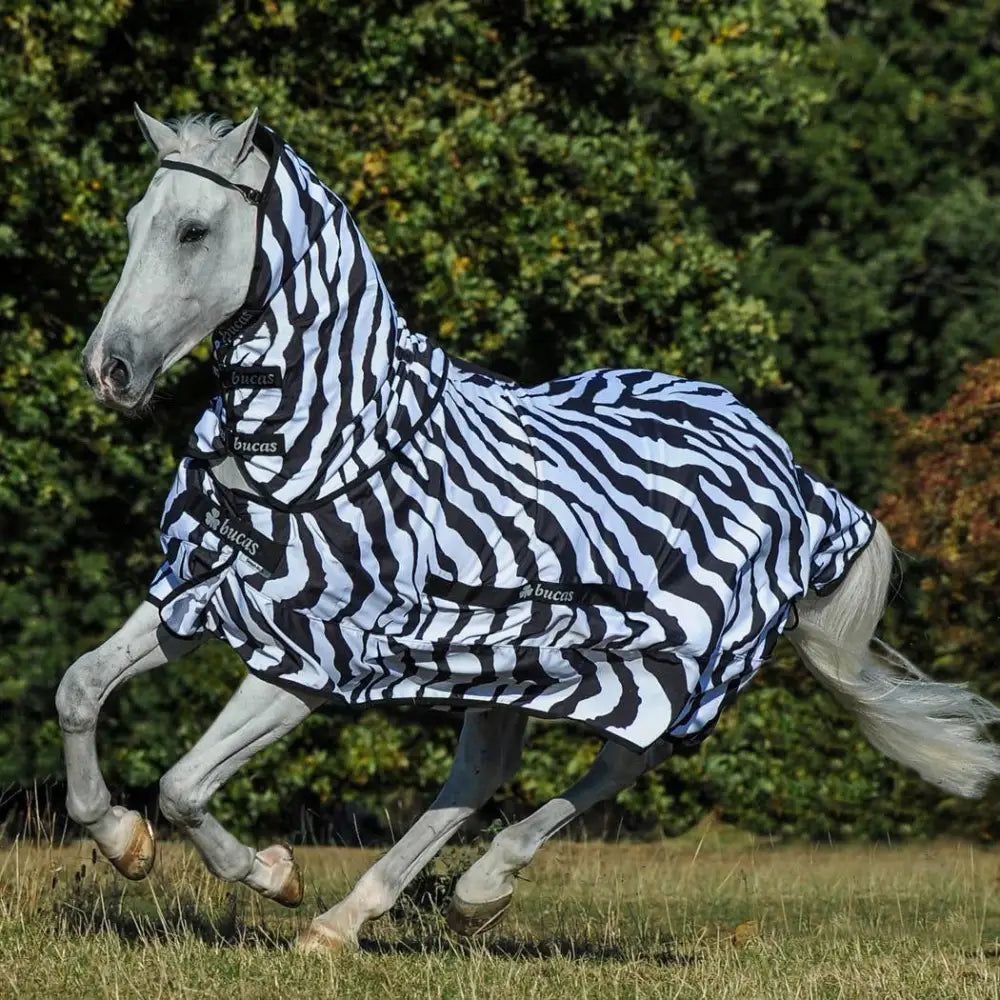 A white horse wearing a black and white bucas sweet itch zebra fly rug with shoulder darts for itch relief