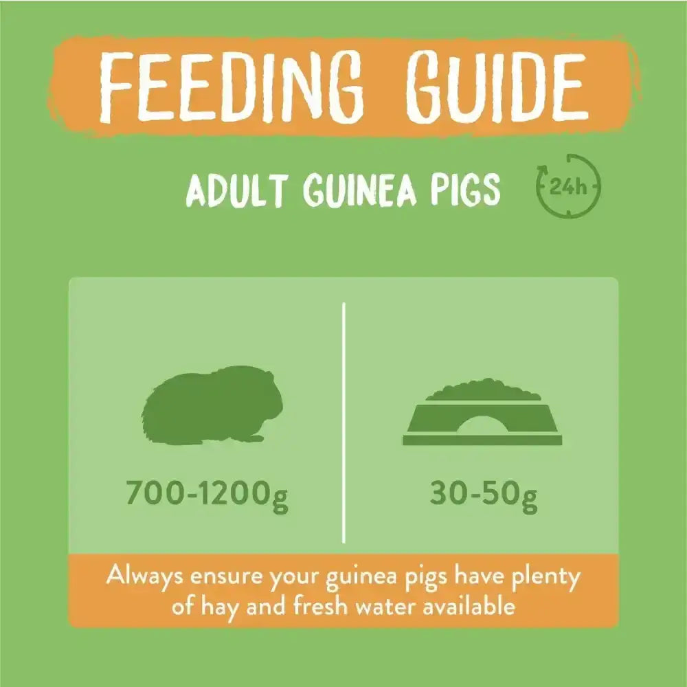 Green illustrated feeding guide on back of burgess excel guinea packaging showing daily hay and pellet portions for excel guinea pig nuggets