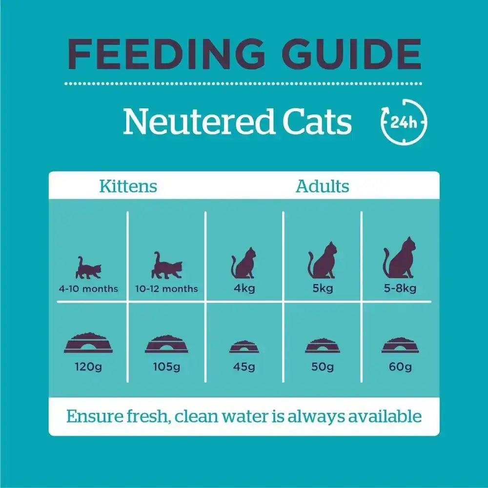 Teal feeding guide chart for burgess supa cat neutered cat food showing portion sizes by age and weight with cat silhouettes