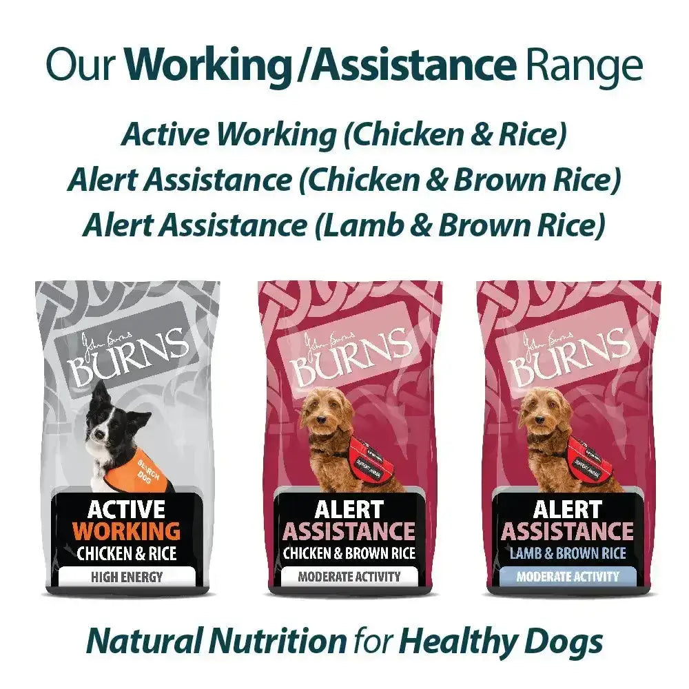 Three burns alert chicken dog food bags in silver and pink packaging featuring chicken and lamb flavors rich in amino acids hydrate