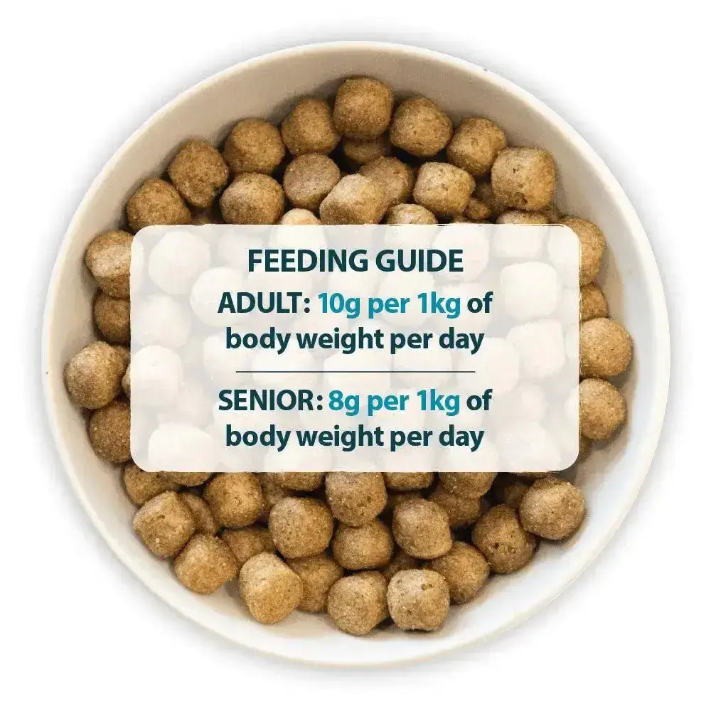 Brown round kibble pellets in a white bowl of burns alert lamb dog food with amino acids to hydrate pets