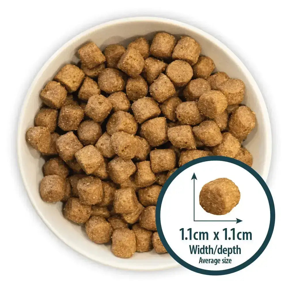 Brown cube-shaped burns canine active kibble in a white bowl showing active dog food daily feeding costs
