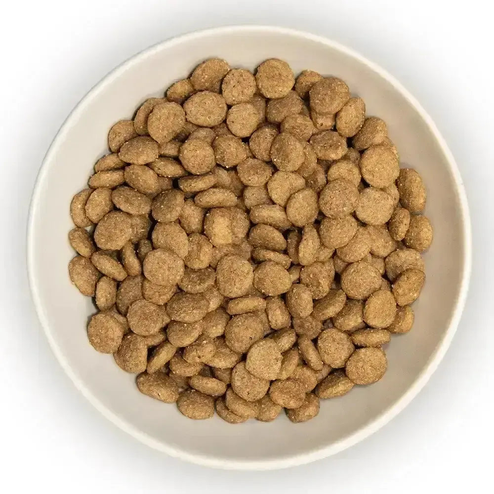 Burns Cat Chicken & Brown Rice Cat Food Cat Food