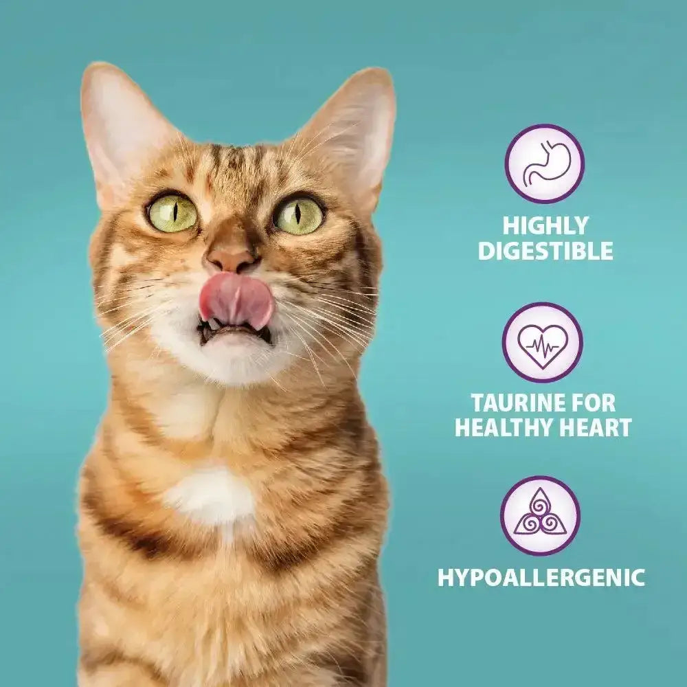 A tabby cat with green eyes licking its nose next to burns cat chicken and brown rice cat food for amino acids hydrate