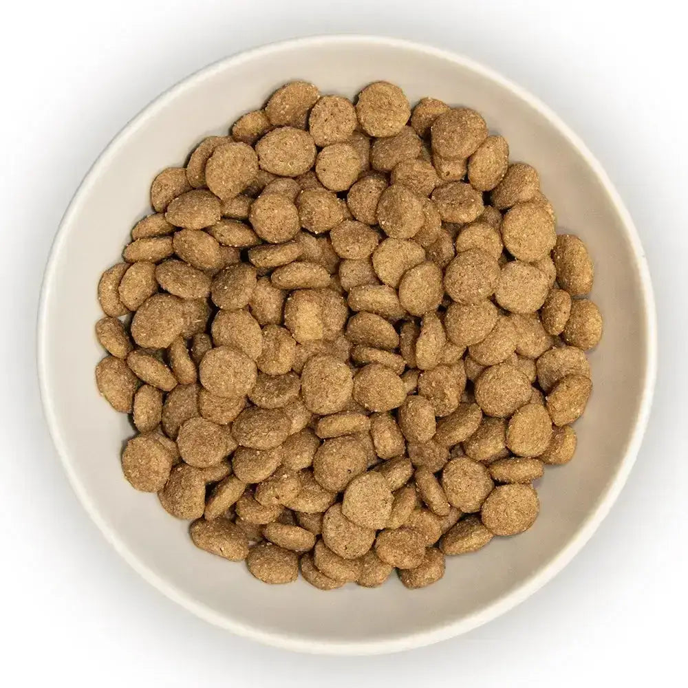 A white ceramic bowl filled with burns cat chicken brown rice cat food kibble pellets rich in amino acids hydrate
