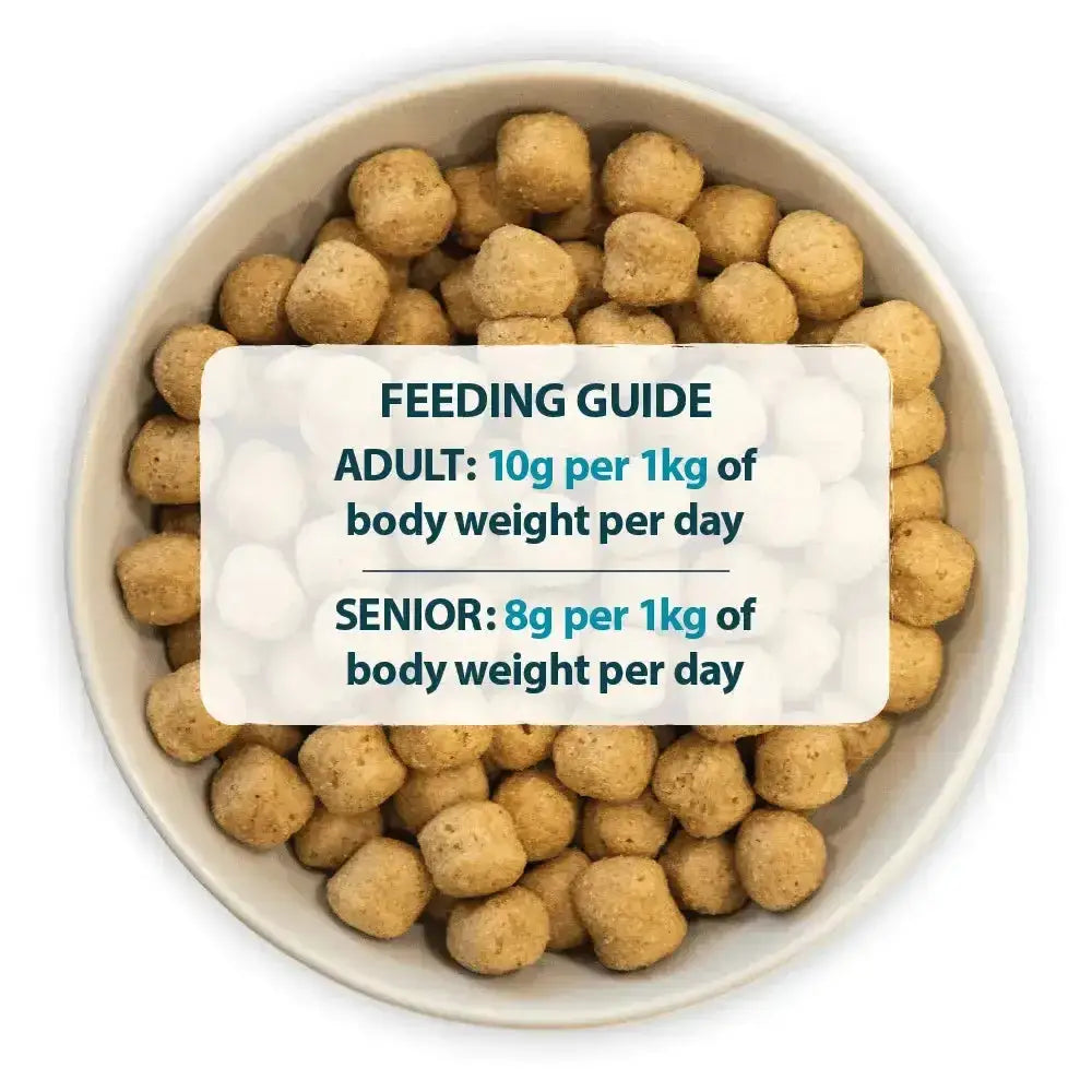 Tan round kibble pellets in a white bowl of burns original chicken dog food with feeding guide for proper portions