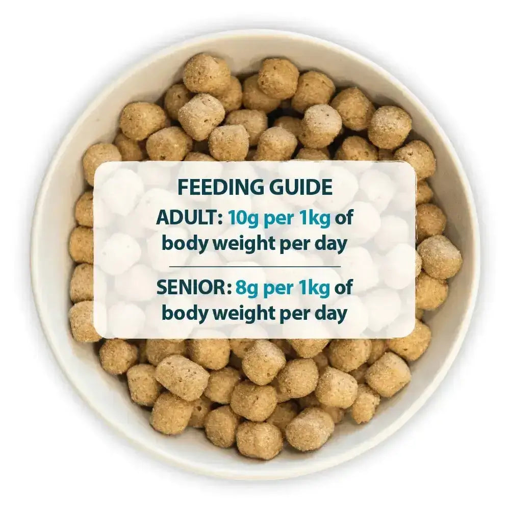 Tan round kibble pellets of burns original lamb dog food by john burns in a white bowl with feeding guide visible