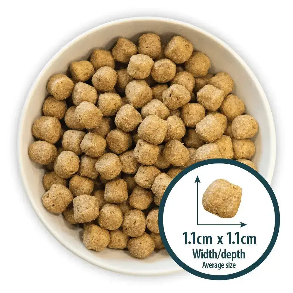 Brown round kibble pellets in a white bowl for burns sensitive pork dog food recommended by veterinary surgeon john