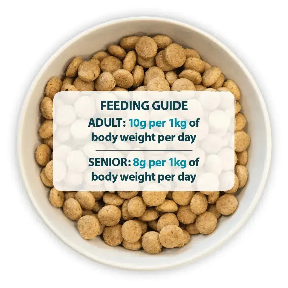 A white ceramic bowl filled with light brown round kibble pellets of burns sensitive pork dog food recommended by veterinary surgeon john
