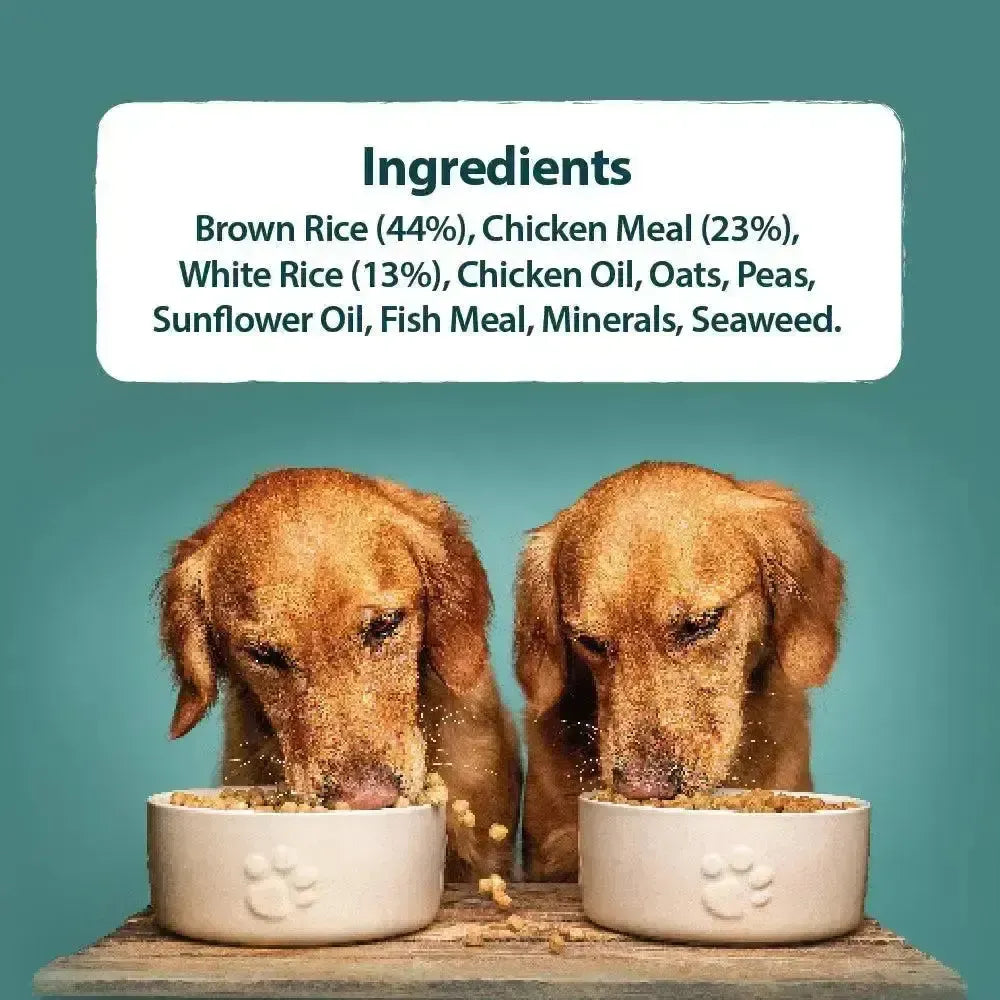 Burns Toy & Small Breed Dog Food 6kg Dog Food