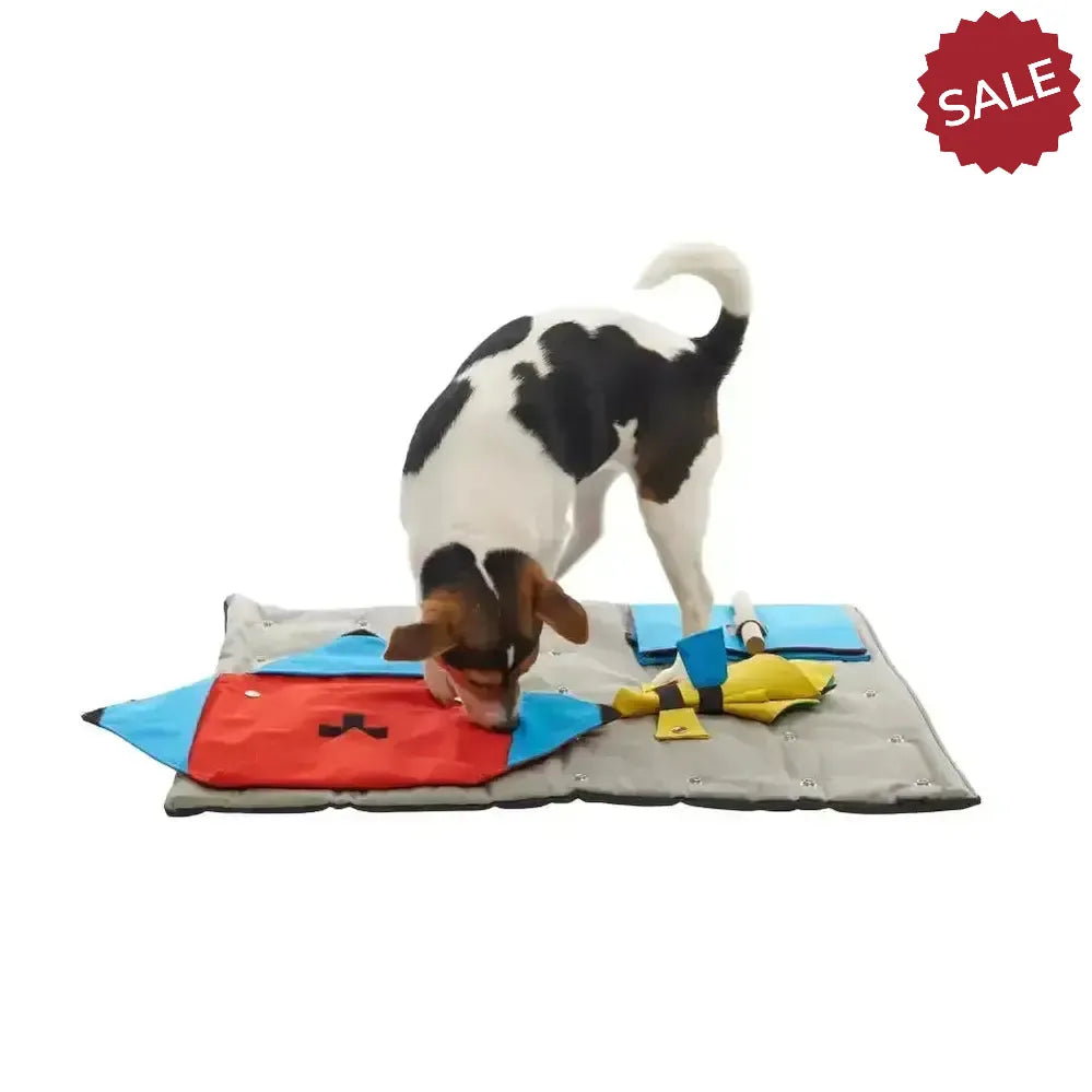 Buster Activity Mat Starter Set Dog Toys