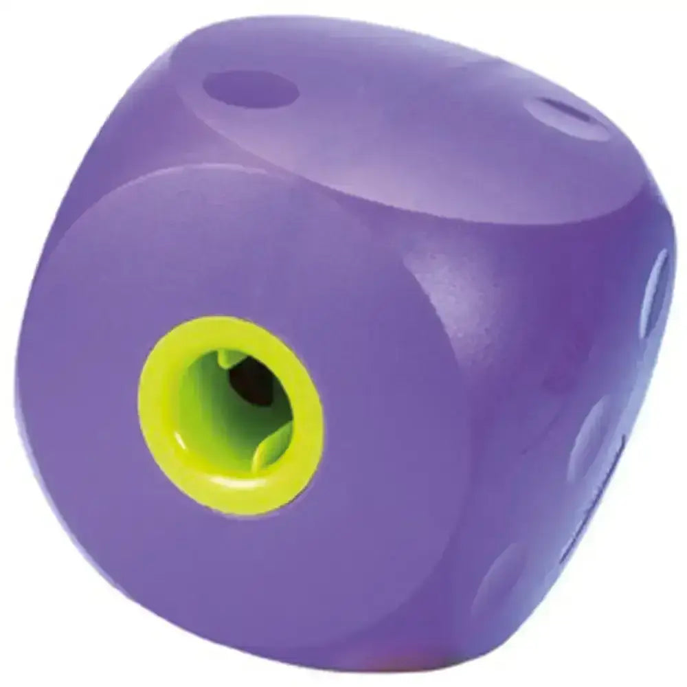 Purple plastic buster mini cube dog toy with bright green opening and small holes perfect for small dog toys ingenious toy recommended
