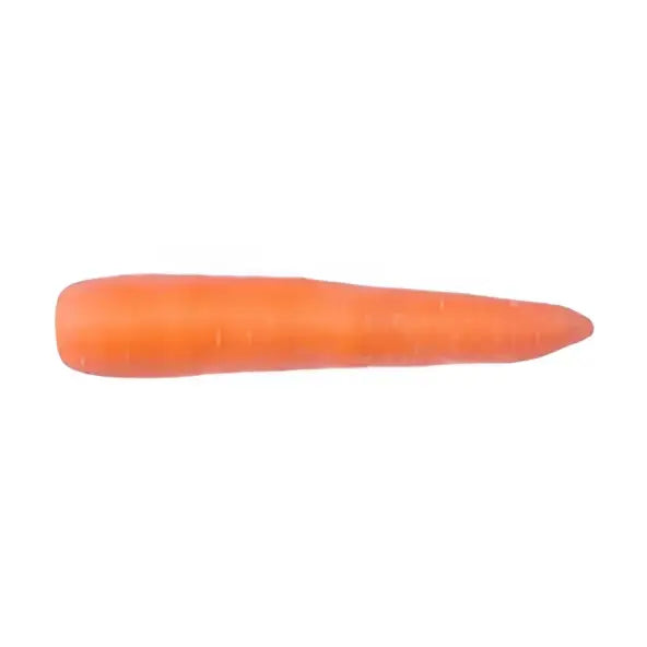 A fresh vibrant orange carrot with smooth natural ridges from our little farm shop perfect for equestrian treats